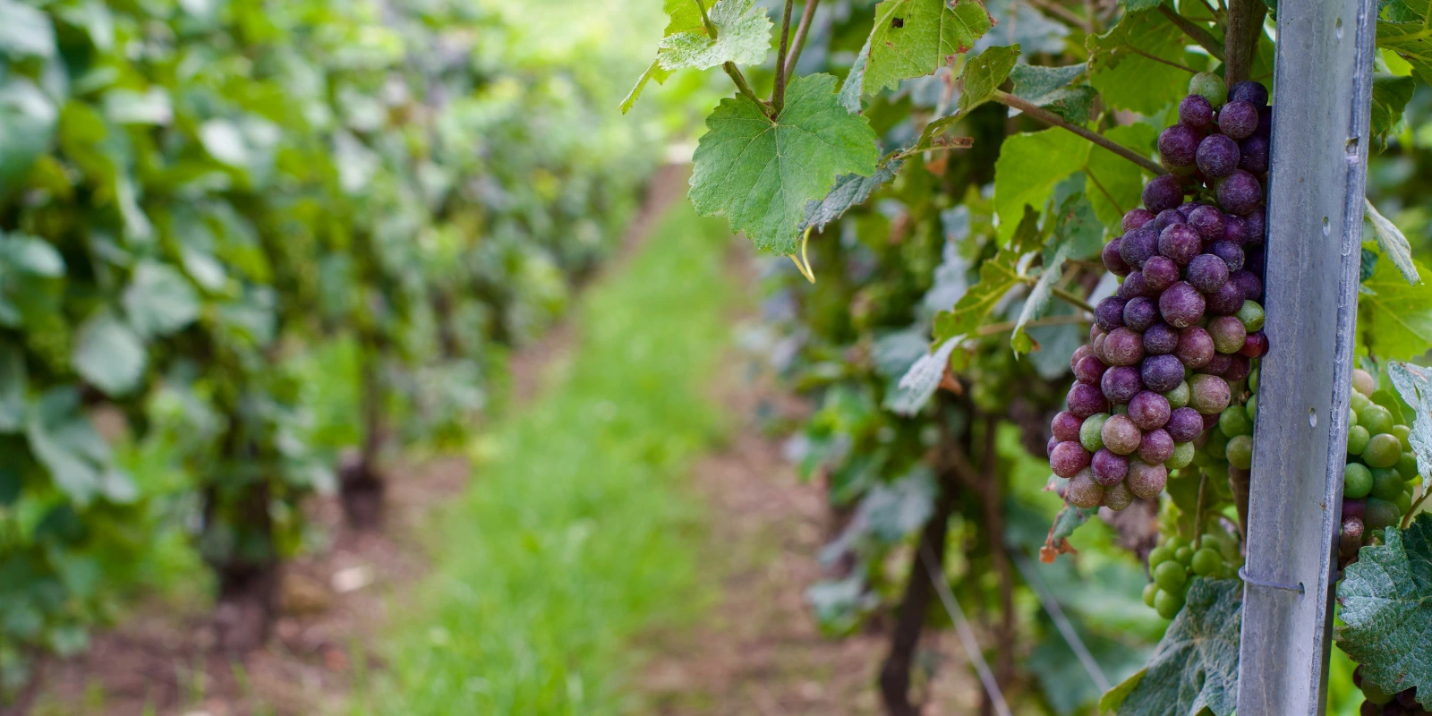 Étudier la Chimie à l'IUT de Marseille Saint Jerome