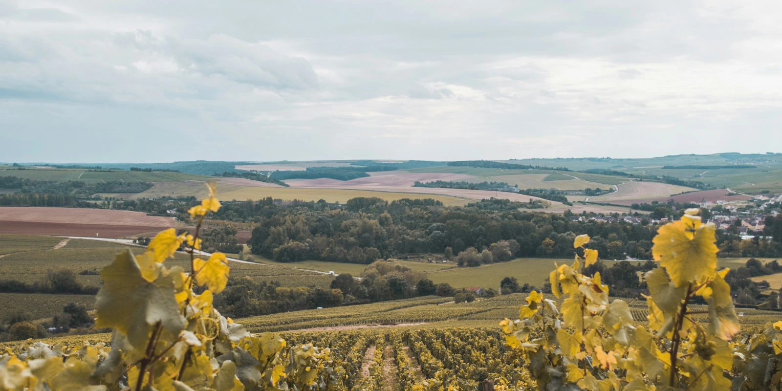 L'IUT de Créteil-Vitry : Un Choix pour le BUT Chimie