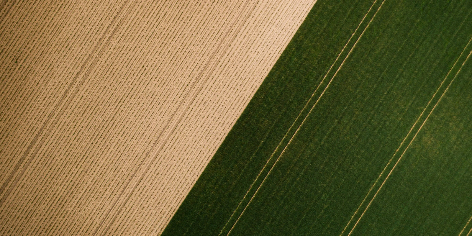 La Gestion de Projet dans le Domaine de la Chimie