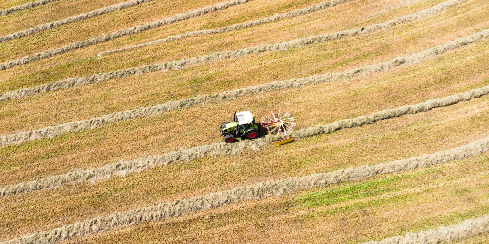 Le Parcours Synthèse en BUT Chimie