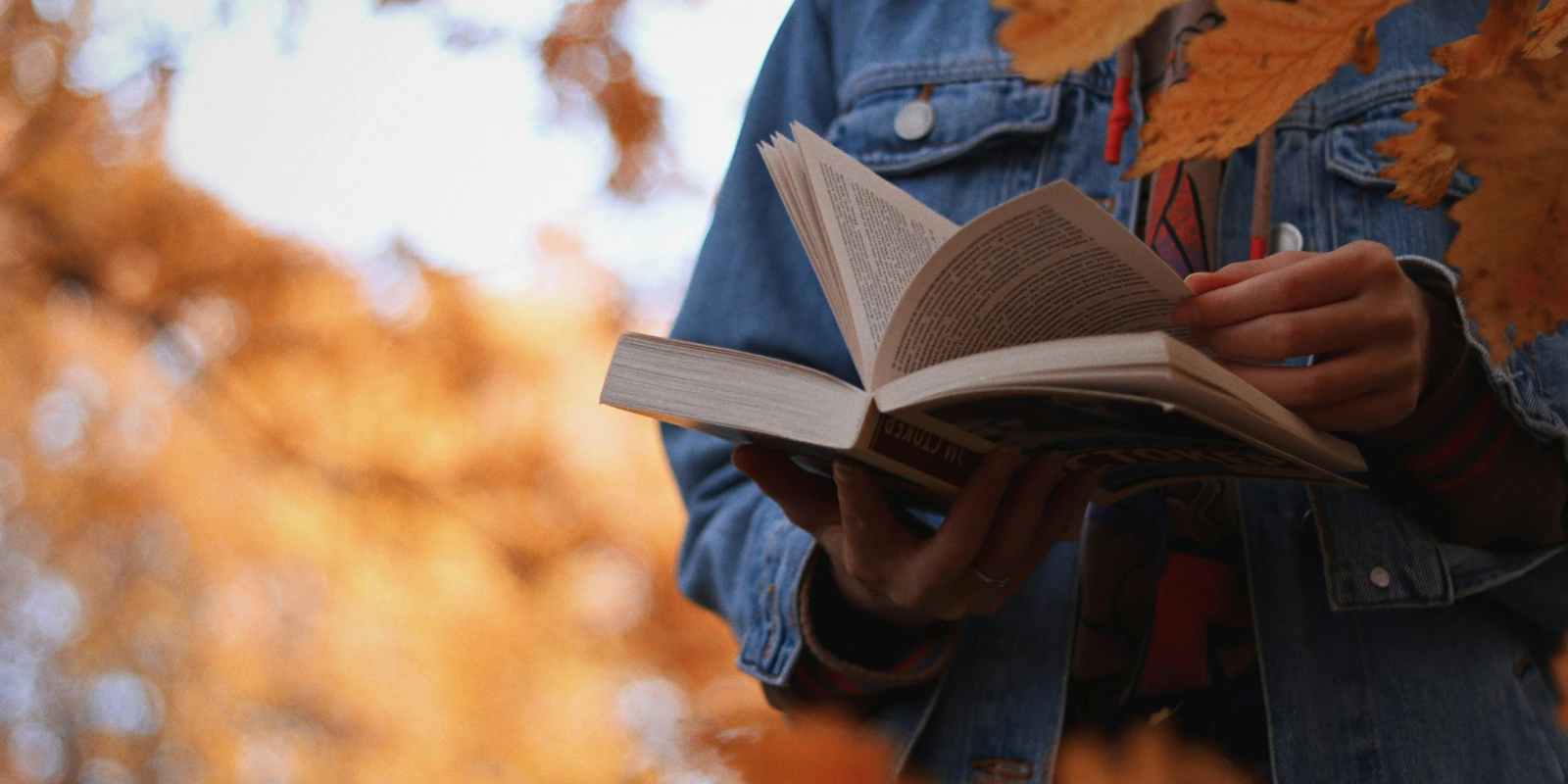 Les Programmes de Formation en Chimie à Poitiers